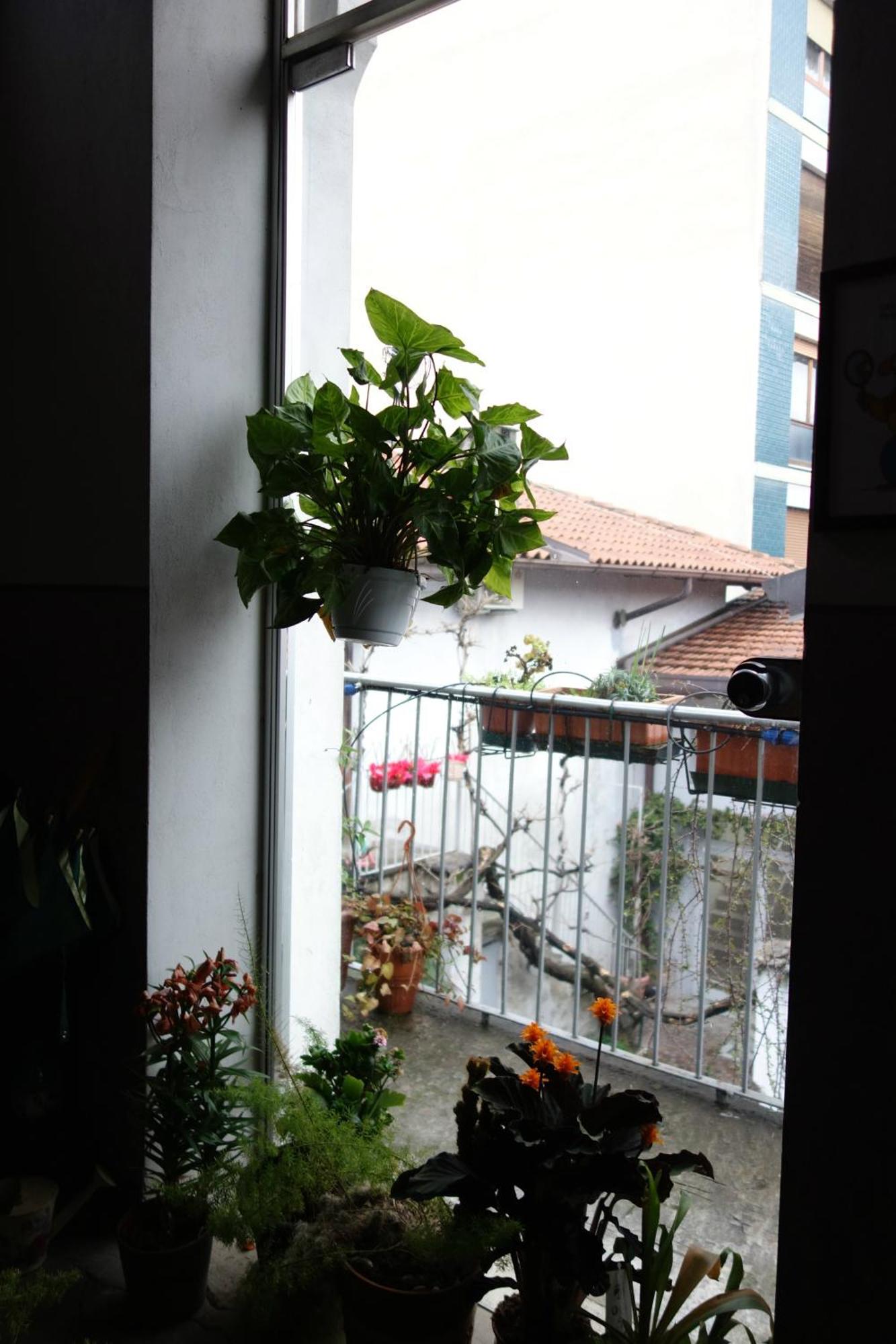 Charming On The Roofs Of Navigli *